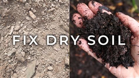 How do you fix very dry soil?