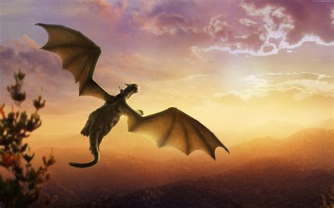 How do you fly a dragon?