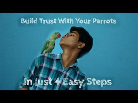 How do you gain a parrot's trust?