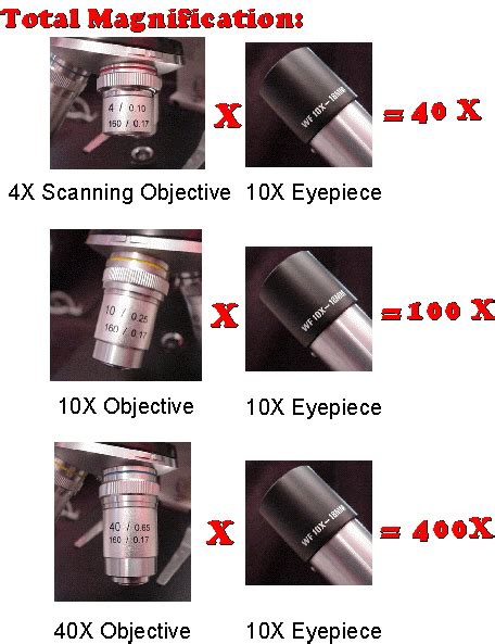 How do you get 1000x magnification?