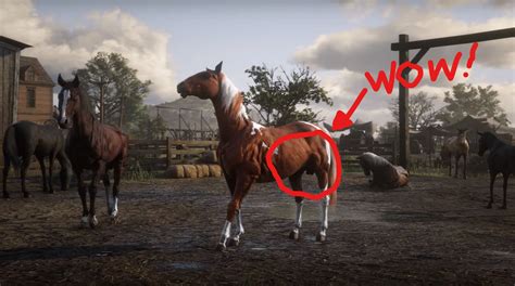 How do you get a horse to trust you in rdr2?