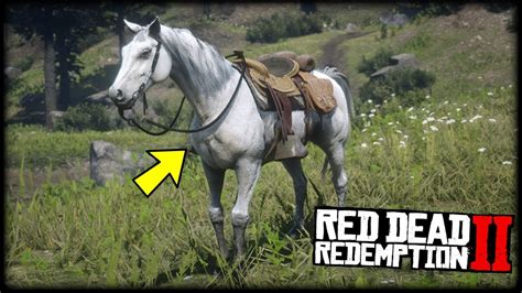 How do you get a second white Arabian in rdr2?