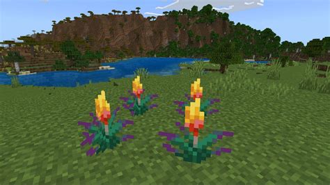 How do you get biome torches?