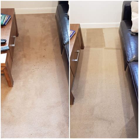 How do you get dried dog urine out of carpet without vinegar?