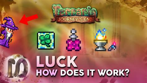 How do you get max luck in Terraria?