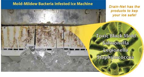How do you get mold out of a portable ice maker?