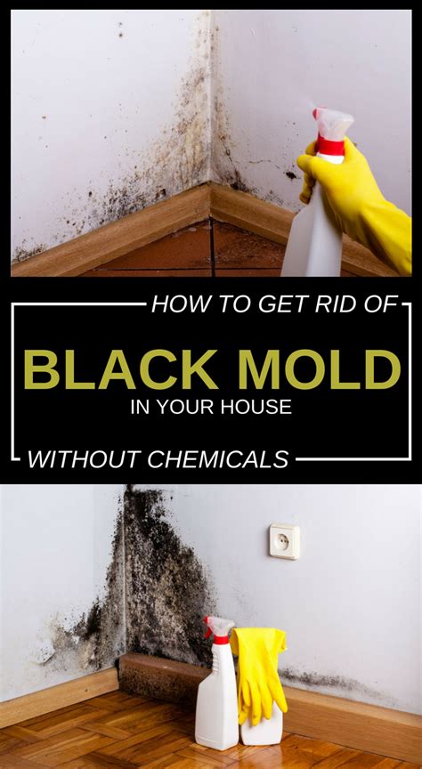 How do you get rid of black fungus at home?