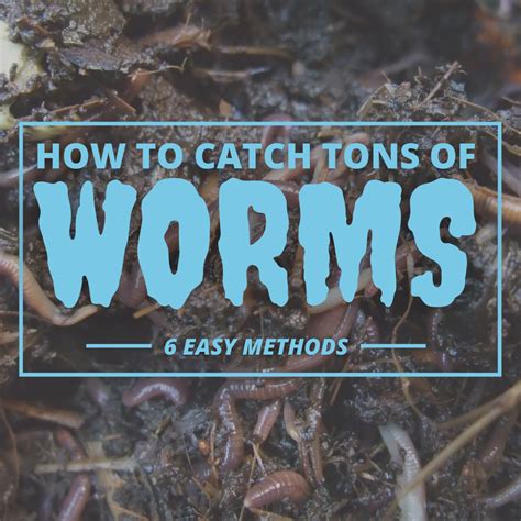 How do you get rid of earthworms fast?