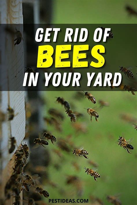 How do you get rid of swarming bees?