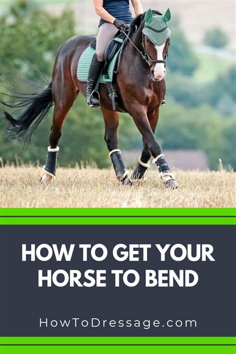 How do you get your horse to bond with you?