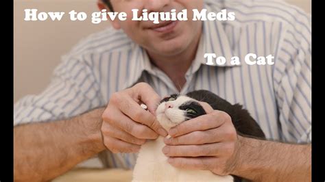 How do you give a cat liquid medicine orally?