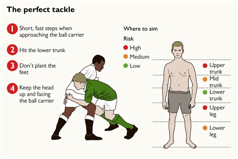 How do you go pro in rugby?