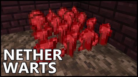 How do you grow nether warts?