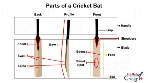 How do you harden a cricket bat?