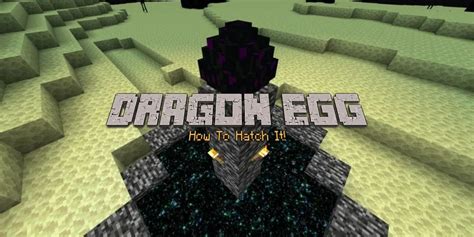How do you hatch a dragon egg?