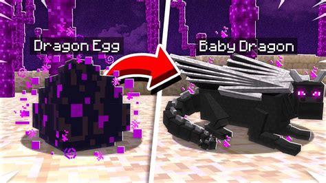 How do you hatch a purple Dragon Egg in Minecraft?