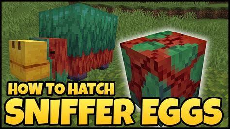 How do you hatch a sniffer egg?