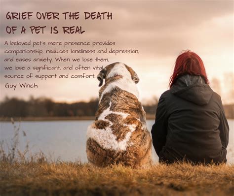 How do you help a grieving pet?