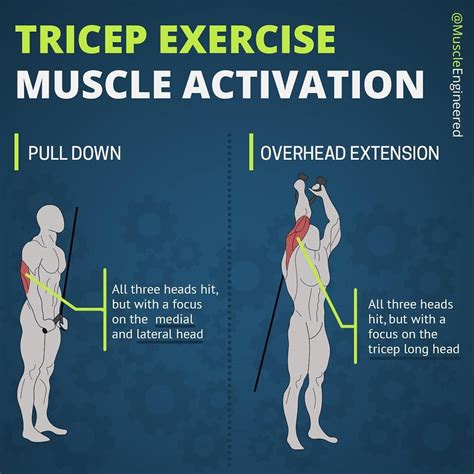 How do you hit 3 triceps?
