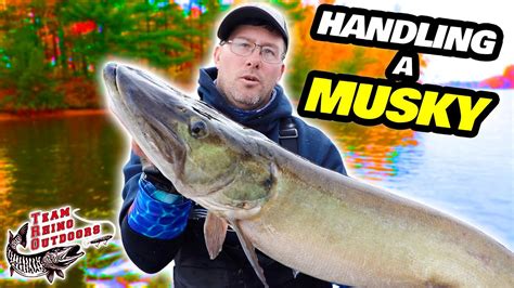 How do you hold a musky?