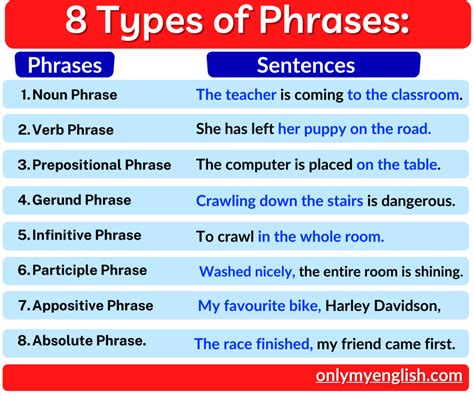 How do you identify different types of phrases in a sentence?