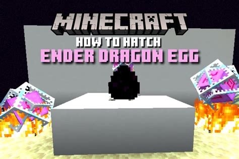 How do you incubate an Ender Dragon egg?