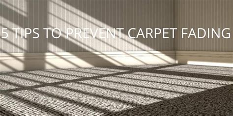 How do you keep carpet from fading?