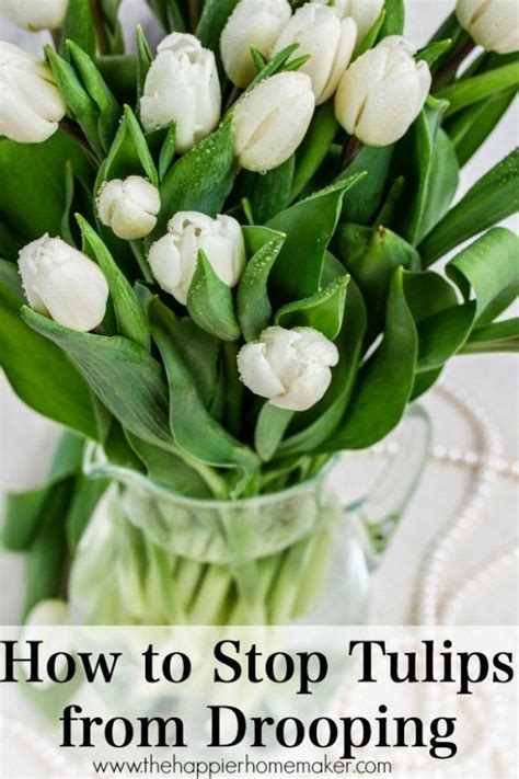 How do you keep cut tulips from drooping?