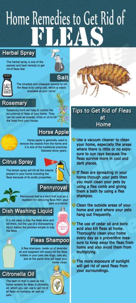 How do you keep fleas away permanently?