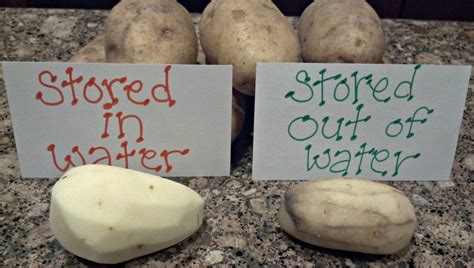 How do you keep potatoes from oxidizing overnight?