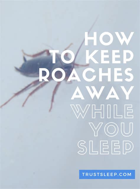 How do you keep roaches away from you while you sleep?