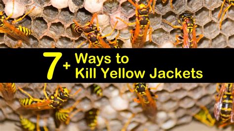How do you kill yellow jackets fast?
