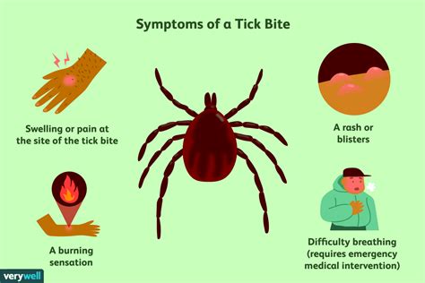 How do you know if a tick bite is harmless?
