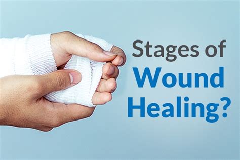 How do you know if a wound is healing?