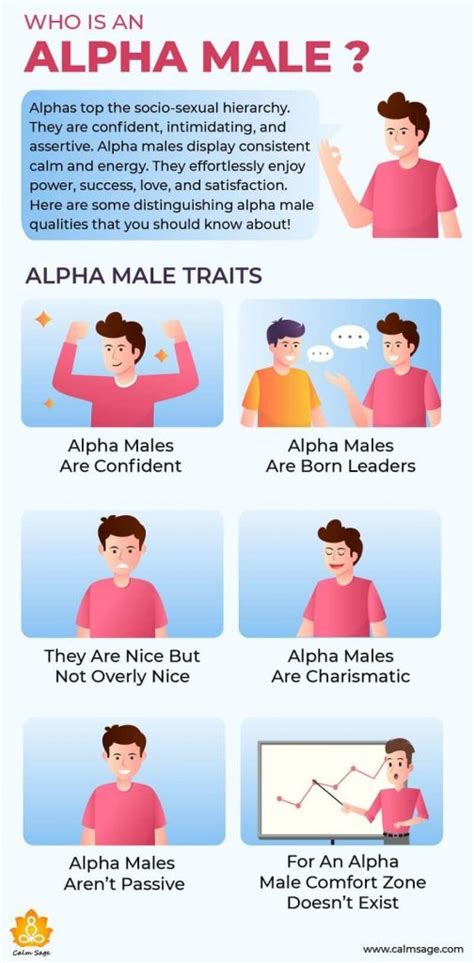 How do you know if an alpha male likes you?