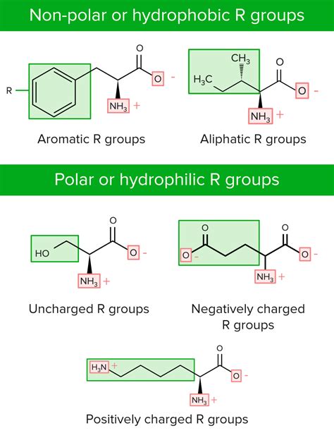 How do you know if an amino acid R group is polar or nonpolar?