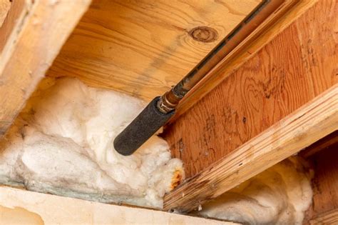 How do you know if insulation is moldy?