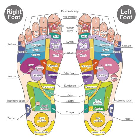 How do you know if reflexology is working?