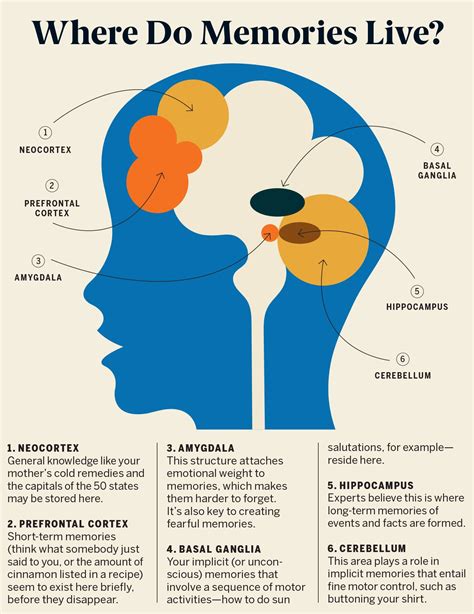 How do you know if you have a good mind?