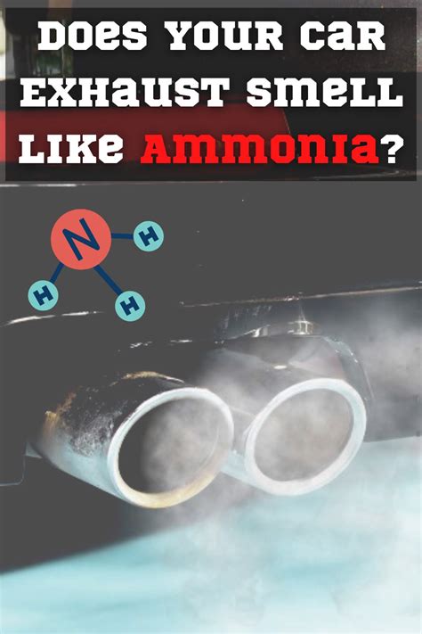 How do you know if you smell ammonia?