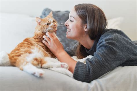 How do you know if your cat misses you?