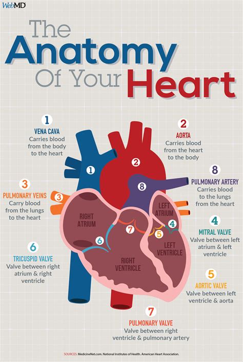 How do you know if your heart is working properly?