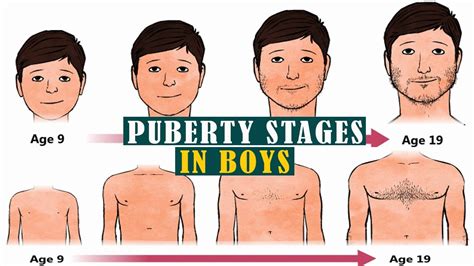 How do you know when puberty is over?