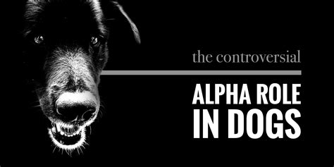 How do you know which dog is the alpha?