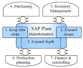 How do you maintain a plant as a customer in SAP?