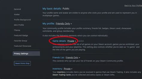 How do you make Steam friends not see what game you're playing?