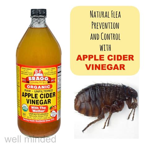 How do you make apple cider vinegar flea spray?