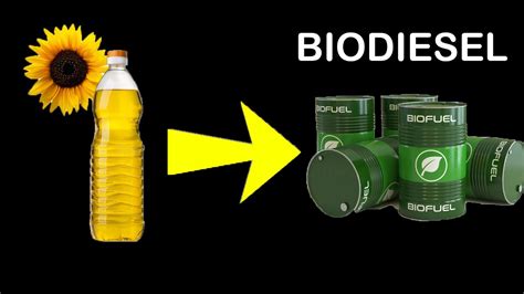 How do you make biodiesel from sunflower oil?
