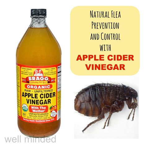 How do you make flea spray with apple cider vinegar?