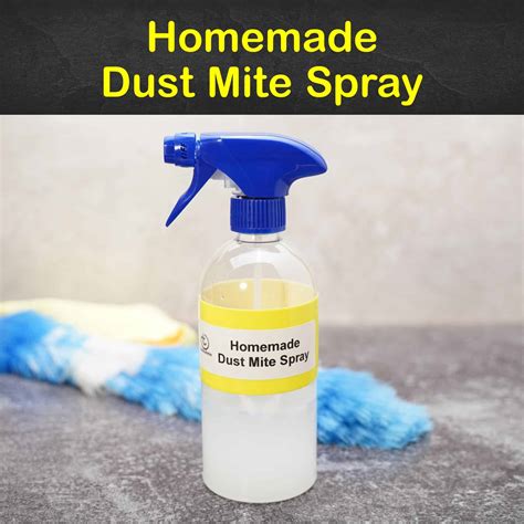 How do you make homemade mite spray?